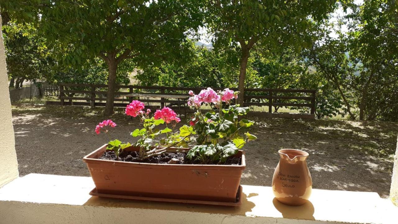 Agriturismo S'Armidda Seulo ภายนอก รูปภาพ