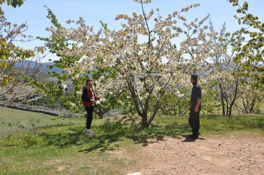 Agriturismo S'Armidda Seulo ภายนอก รูปภาพ